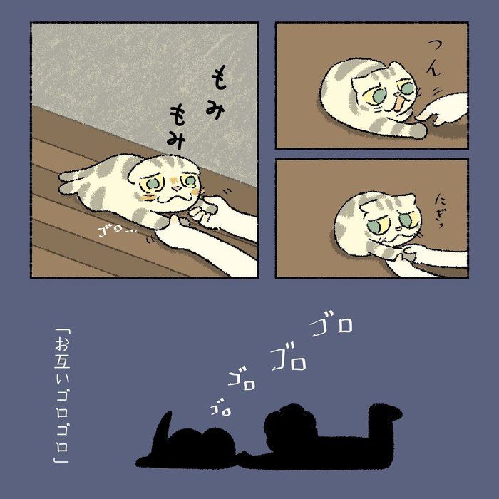 @tacos_cat