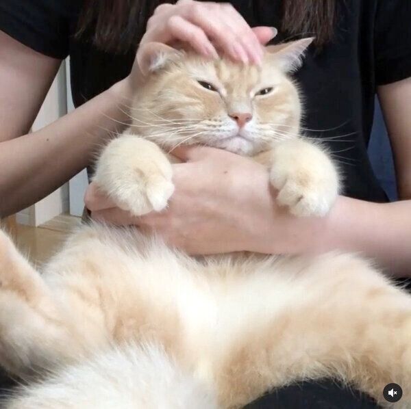 うっとりするモフくん