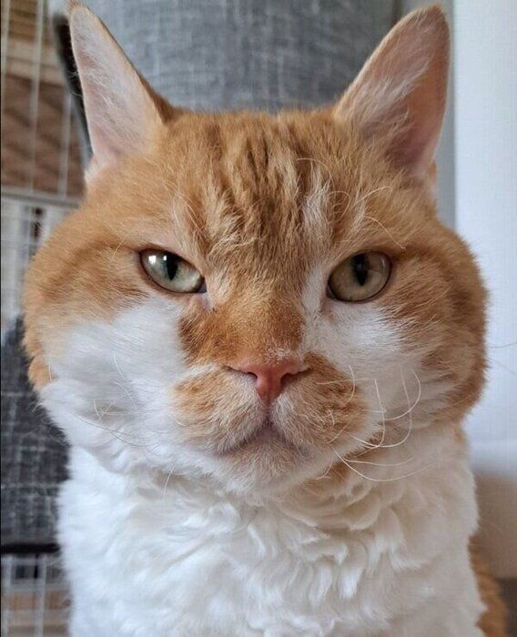 4才10カ月のころに撮影したもやしくん