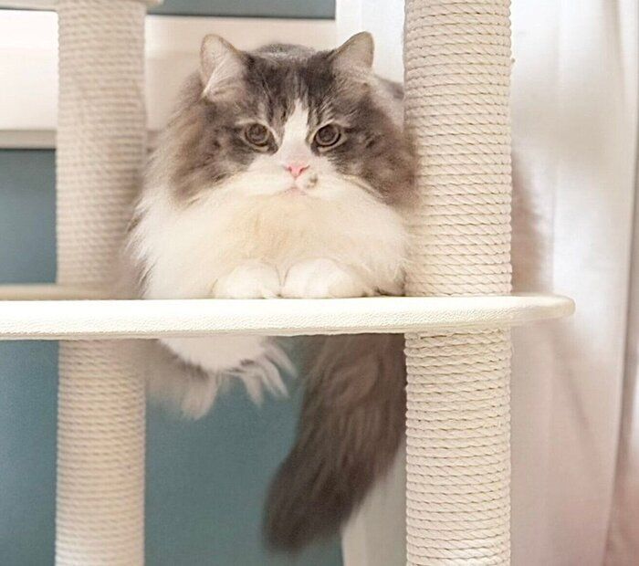 成長したたおくん