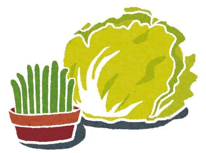 イラスト/ロシトロカ