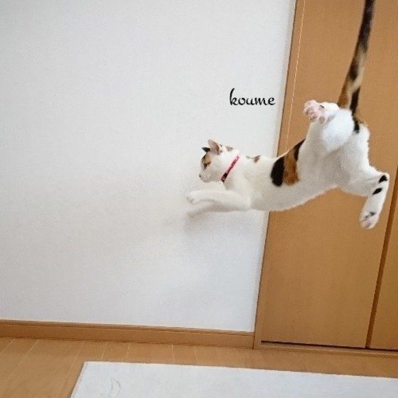 ジャンプ