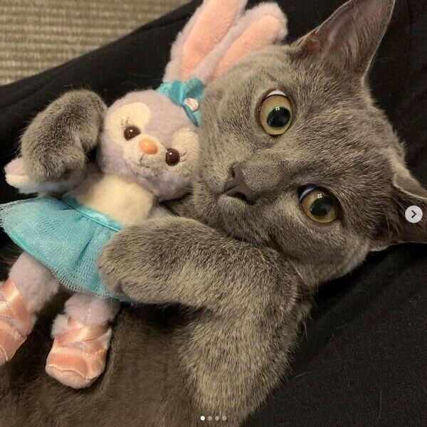 見つめるるなちゃん