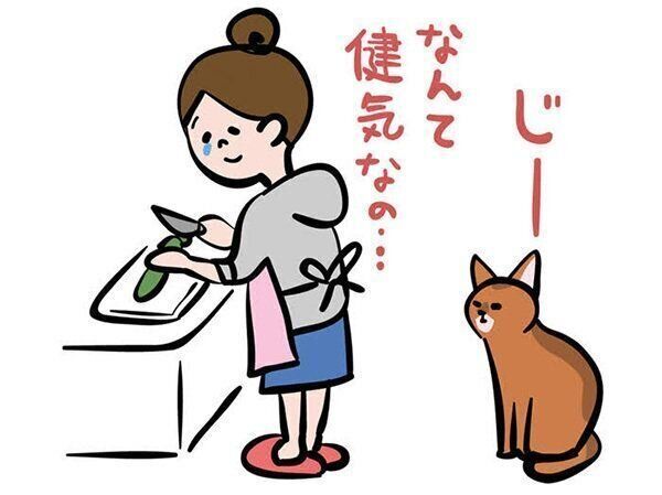 飼い主さんのことを待つ猫/イラスト/simico