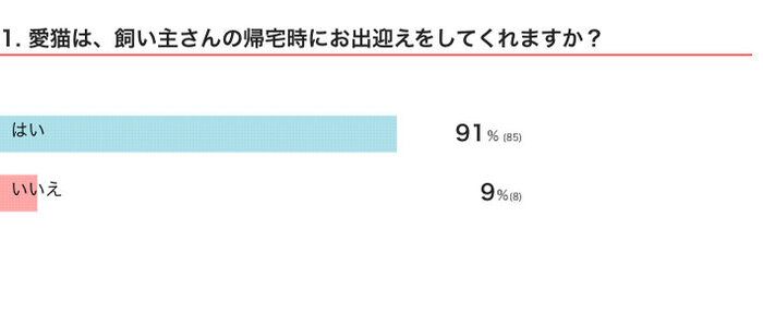 愛猫は、飼い主さんの帰宅時にお出迎えをしてくれる？