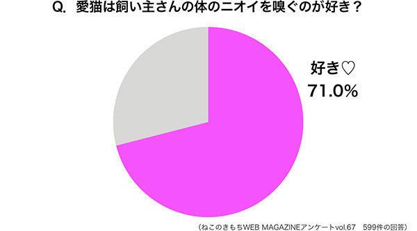 「愛猫は飼い主さんの体のニオイを嗅ぐのが好き?」調査