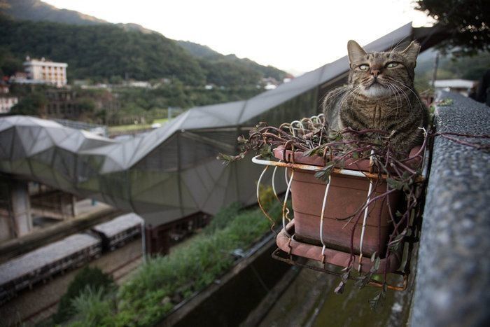 ©Masayuki Oki