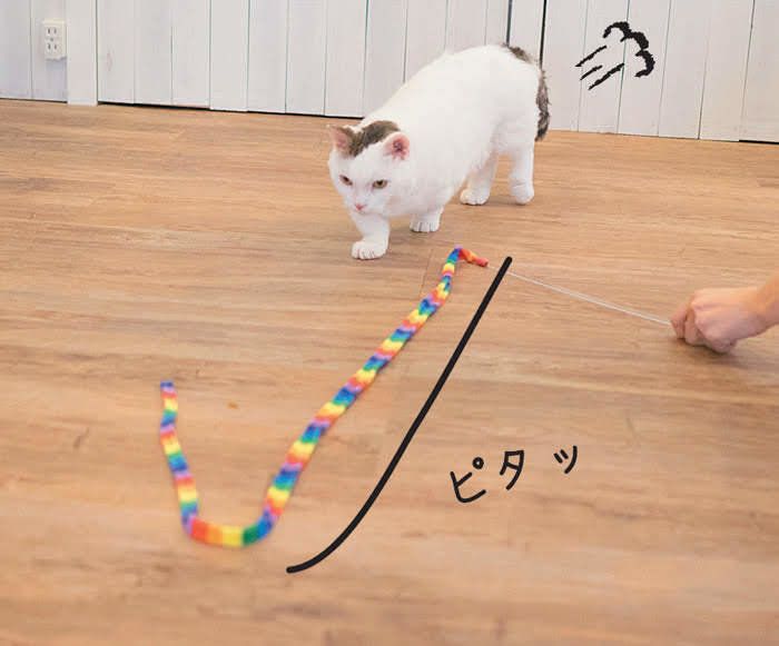 ニョロニョロで遊ぶ猫2
