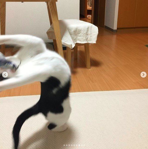 イナバウアー