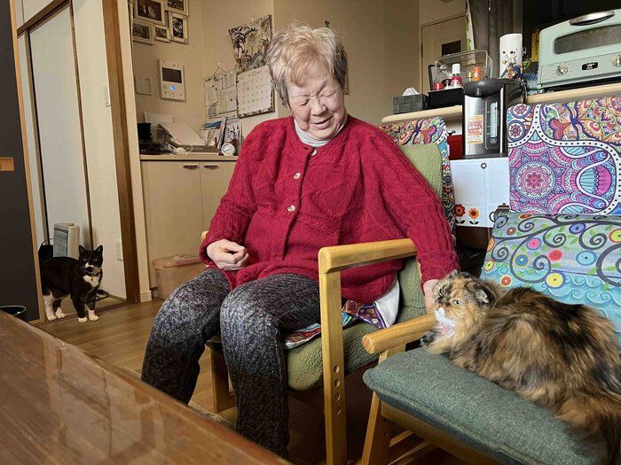 写真提供／猫から目線。