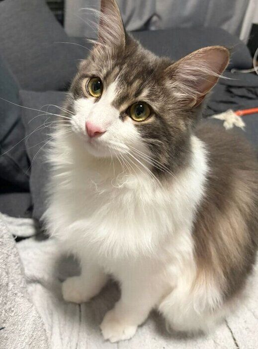 成長したばぶちゃん。体重は4.5kgに
