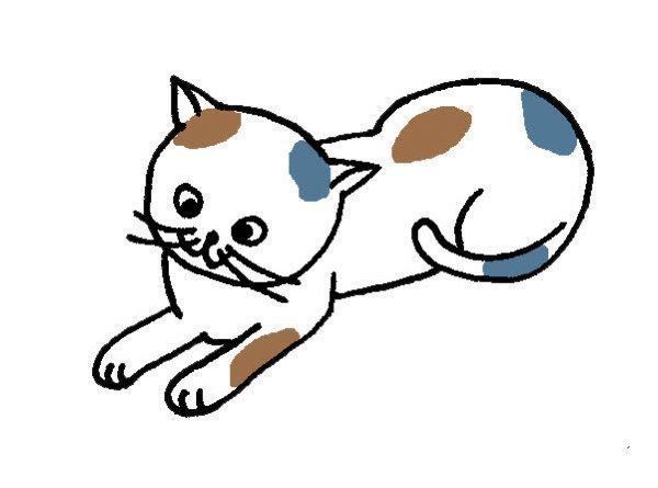 表情でわかる猫の気持ち