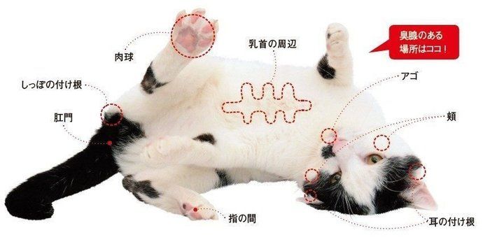 撮影/栗林 愛