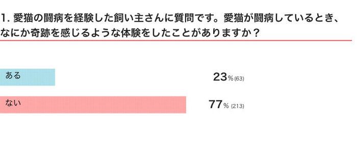 ねこのきもちWEB MAGAZINE 猫との不思議な体験に関するアンケートvol.01