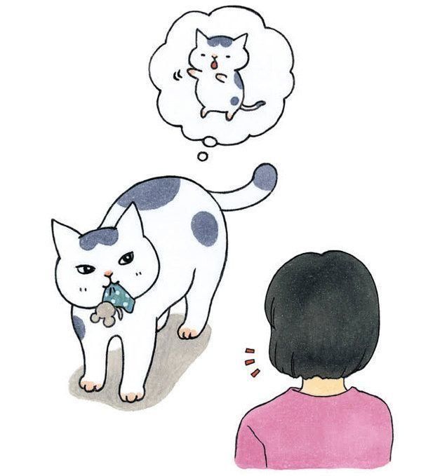 愛しき猫のふしぎ