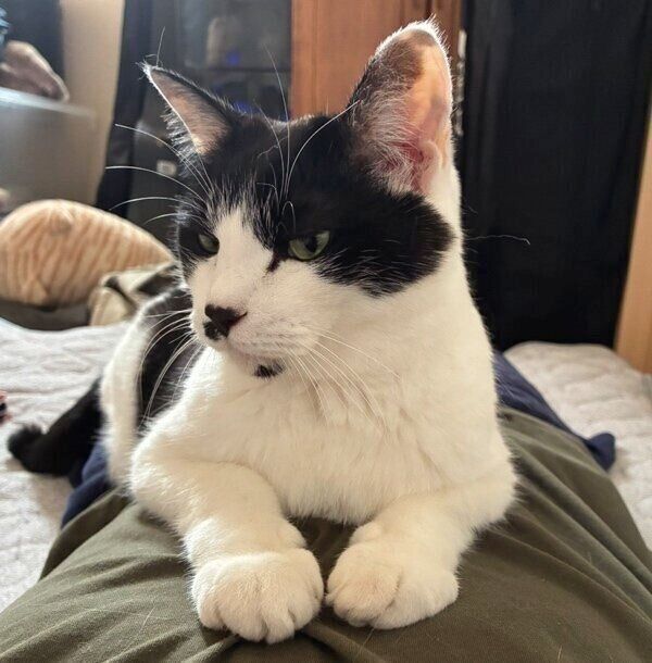 飼い主さん一番の幸せ角度