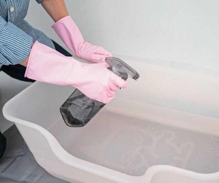 猫トイレを除菌する