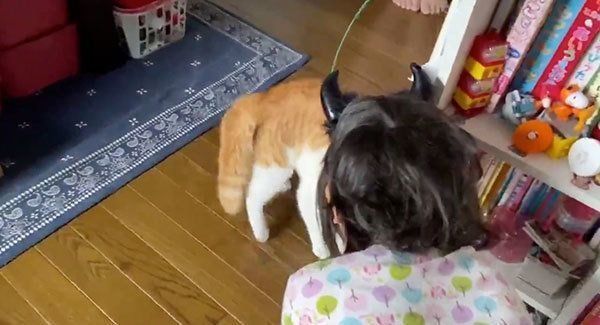 警戒するミィちゃん