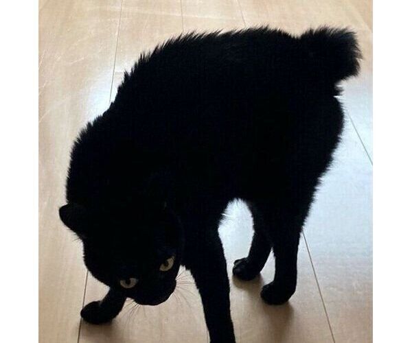 Okras7mwl63fum Okras7mwl63fum