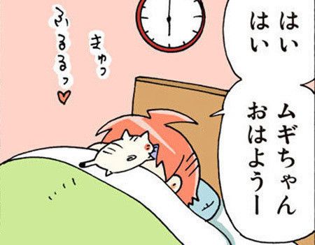 ©片倉真二/講談社