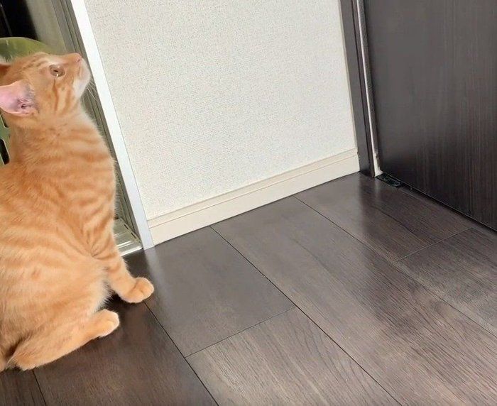 ドアの前