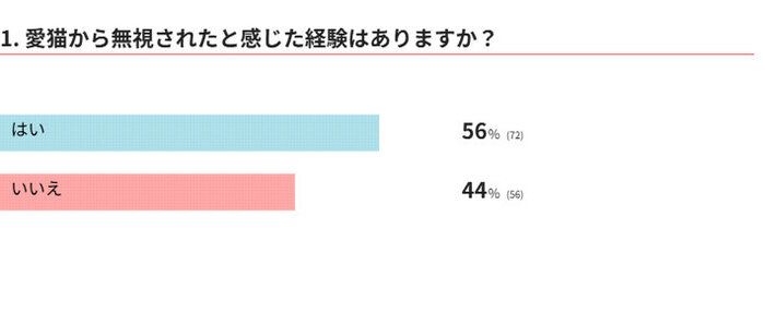 愛猫から無視されたことはある？