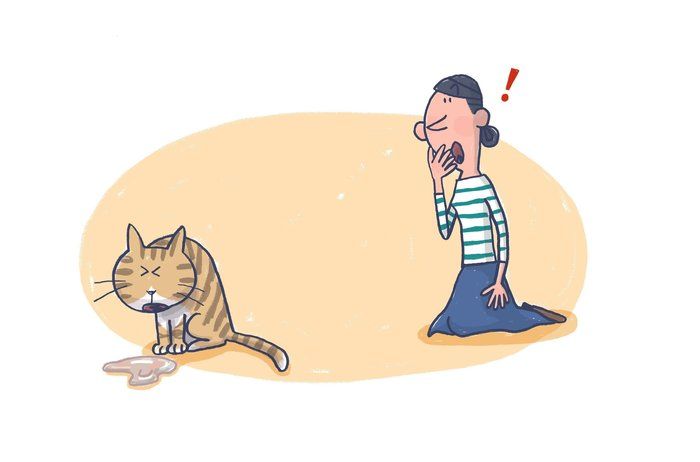 画像/2020年4月号「ねこの病気、そこが知りたい」