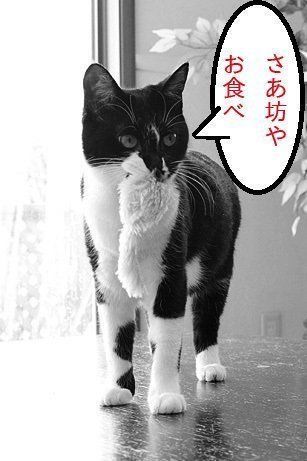 撮影/栗林 愛