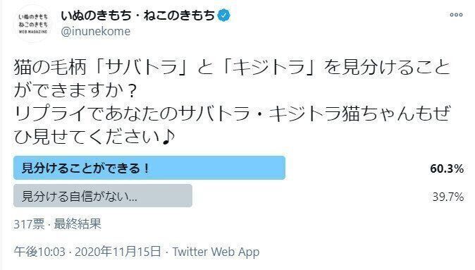 サバトラ・キジトラについてのアンケート結果