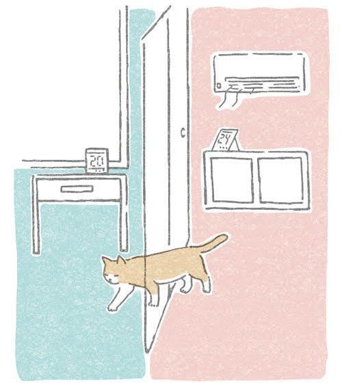 部屋を行き来する猫