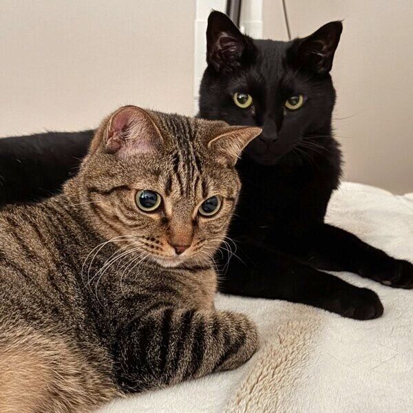 黒豆くんともなかちゃん