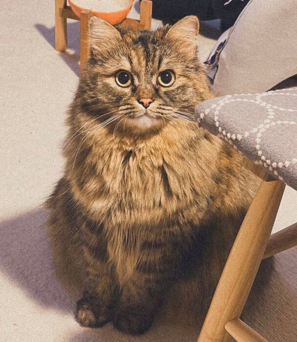 成長したくるみちゃん