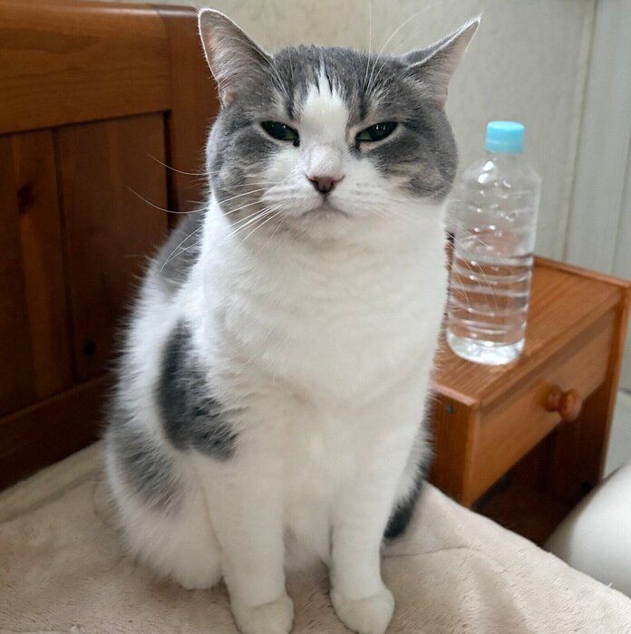 カメラを見つめるウリちゃん