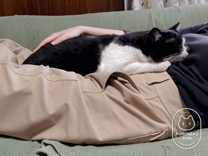 飼い主さんに甘えるまめさん