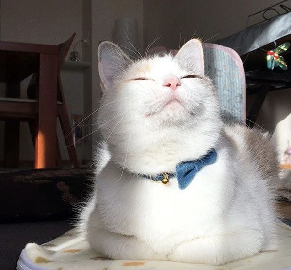 あおいちゃん