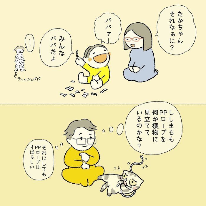 @tacos_cat