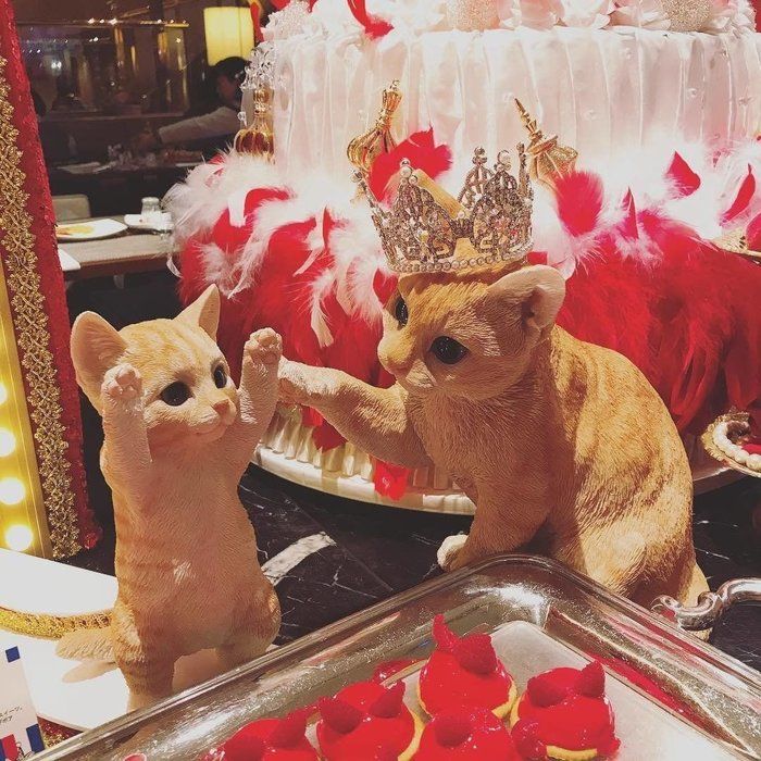 2匹の猫