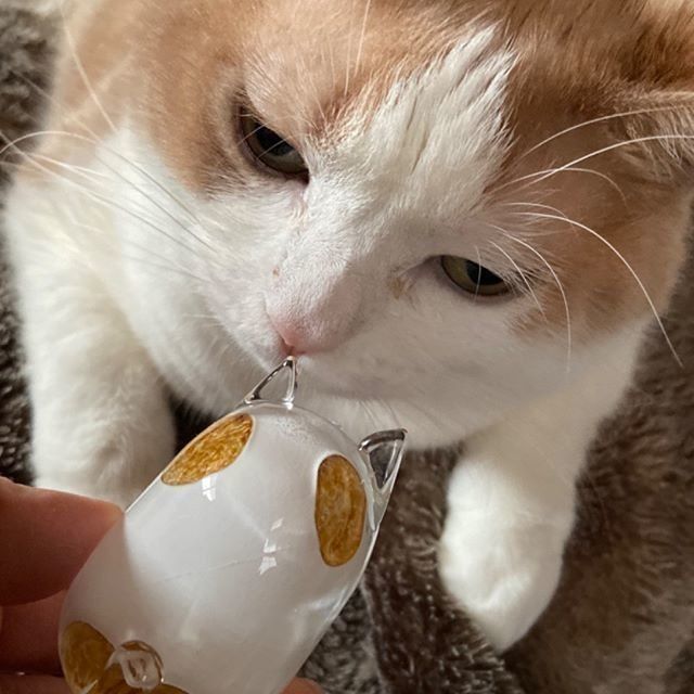興味津々!