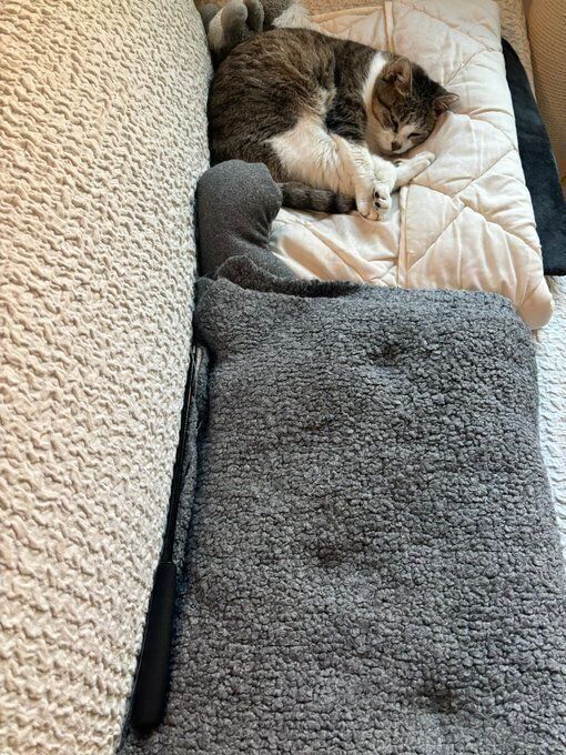 かわいい足跡の先に眠るぽぬちゃん