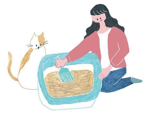 猫トイレ