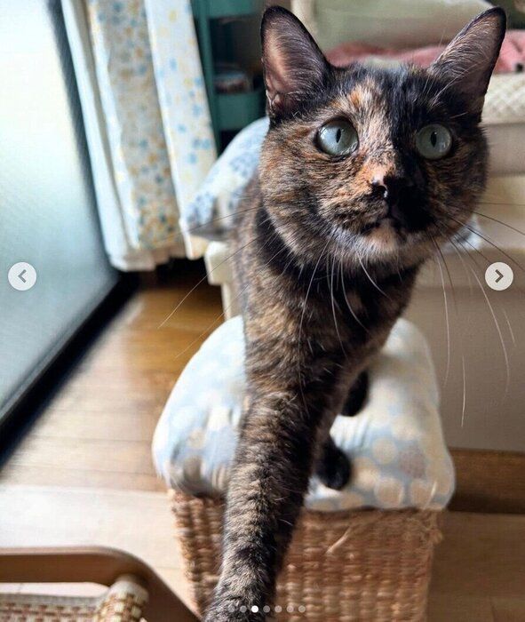 エルちゃんの個人ショット