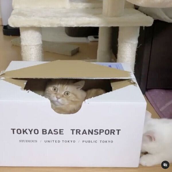 プースケくんからされるがままのマルコちゃん