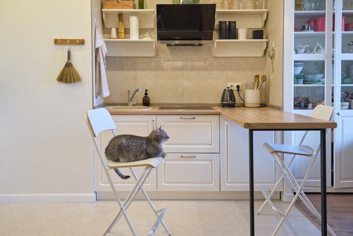 画像/iStock、Getty Images Plus