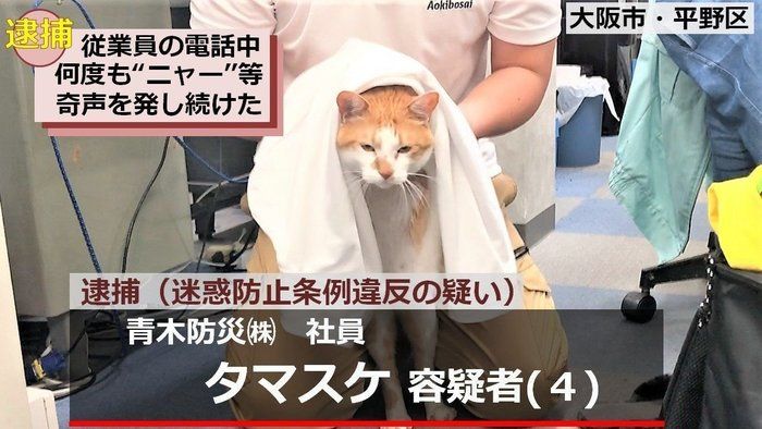 逮捕シーン