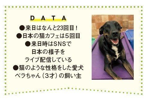 画像/ねこのきもち2018年11月号