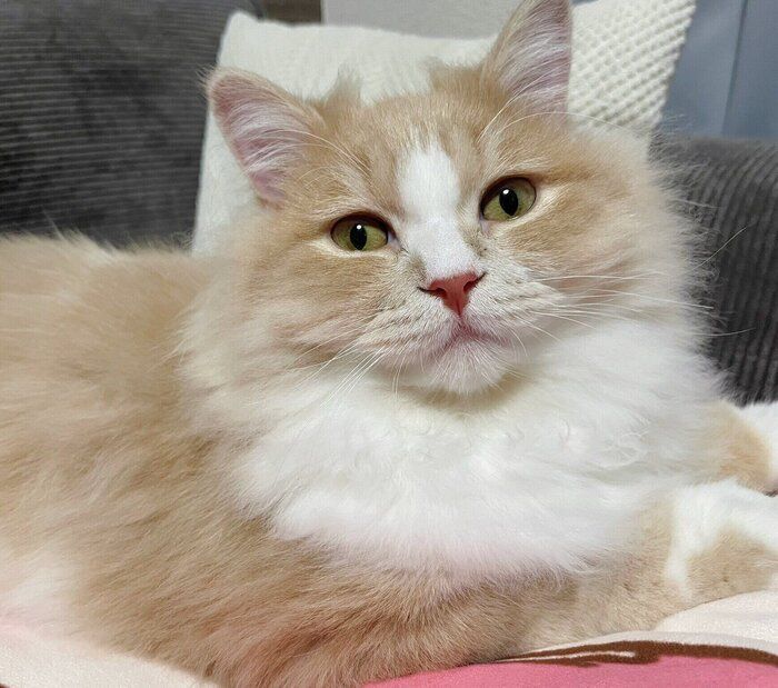 「今日も絶好調でかわいい」ぽてくん。
