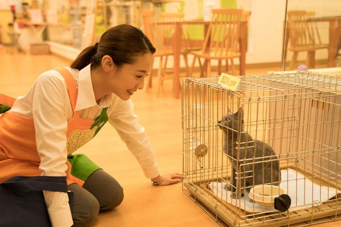 ©2018 『猫は抱くもの』製作委員会