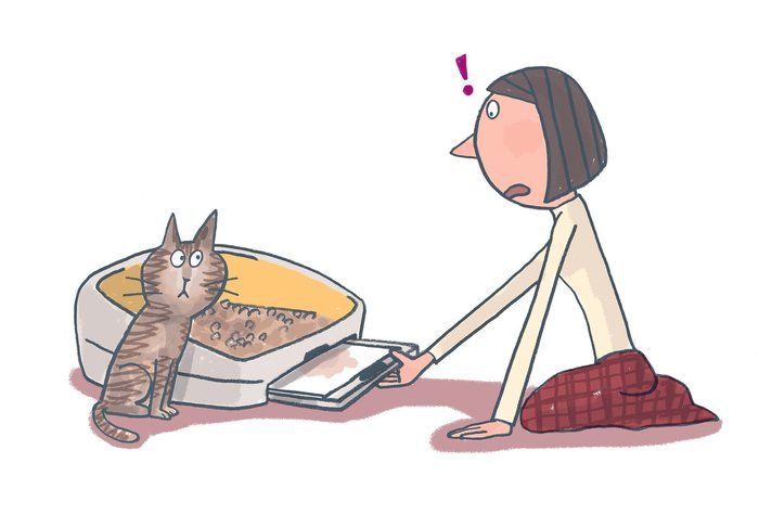 イラスト/上垣厚子
