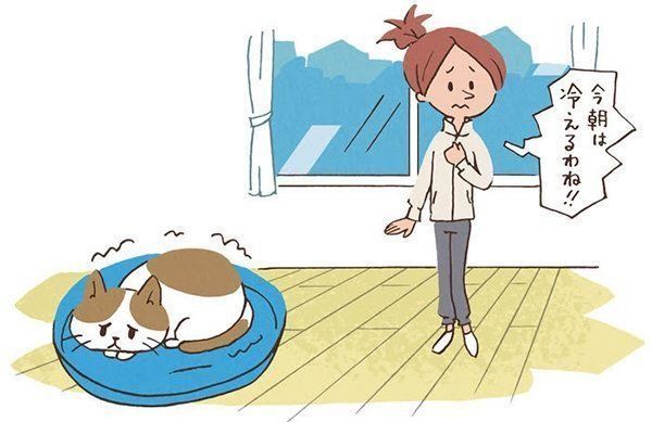 寒暖差がストレスな猫