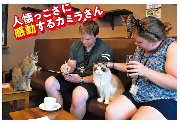 画像/ねこのきもち2018年11月号